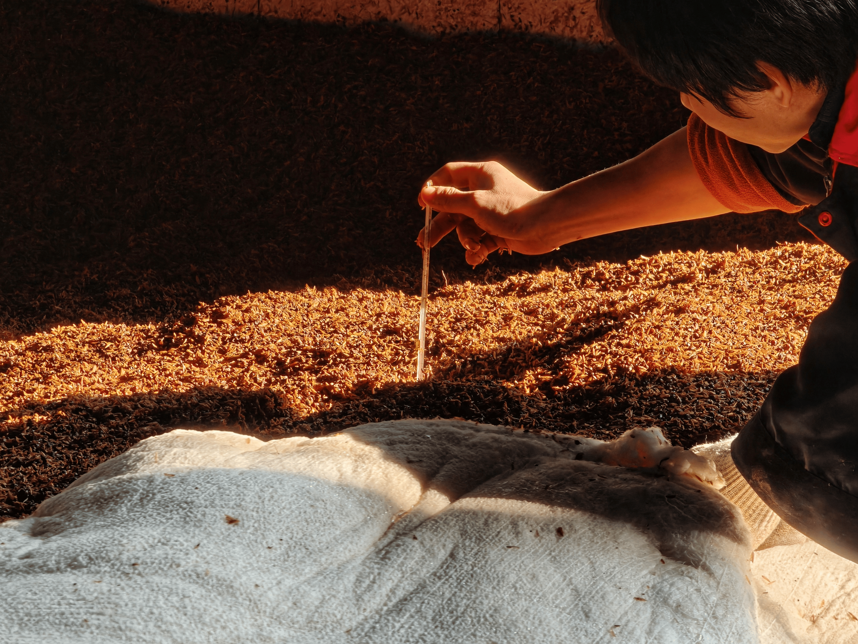 古代酒器与现代酒瓶对比